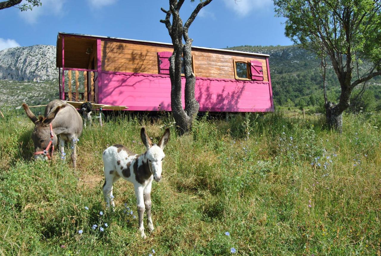 Ferme Saint Pierre Bargeme Exterior photo