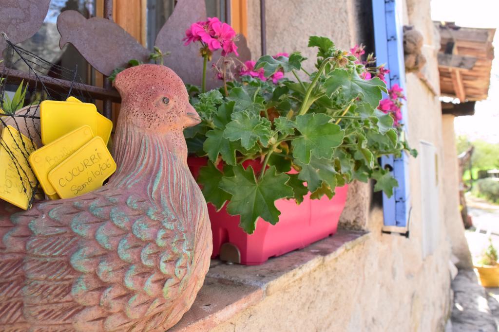 Ferme Saint Pierre Bargeme Exterior photo